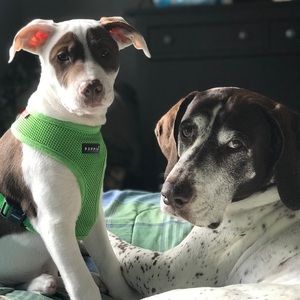 Meet your Posher, Yuliya